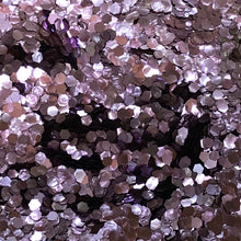 Bio-degradable Glitter - Violet