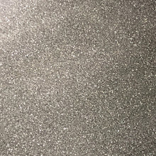 Bio-degradable Glitter - Silver