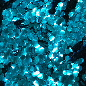 Bio-degradable Glitter - Ocean Blue